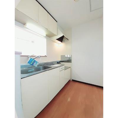 エルレーヴ大川 202【管理NO：1-011141801-02020】 ★家具家電は申し込み後に搬入します 2026年08月中旬入居可能の物件写真3