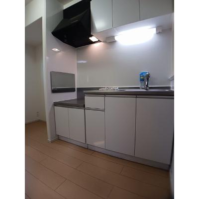 パーム　ストリ－ト 203【管理NO：1-021096001-02030】 ★家具家電は申し込み後に搬入します★の物件写真3