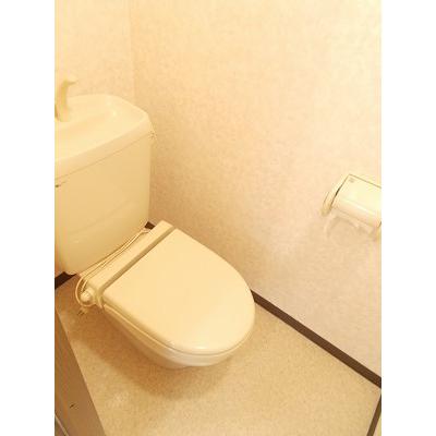 ニューハイツ柿沢 201【管理NO：1-007620401-02010】 ★家具家電は申し込み後に搬入します 2026年08月中旬入居可能の物件写真5
