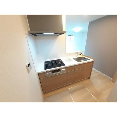 フォーチュンパーク 102【管理NO：1-026962201-01020】 ★家具家電は申し込み後に搬入します 2026年07月下旬入居可能の物件写真3