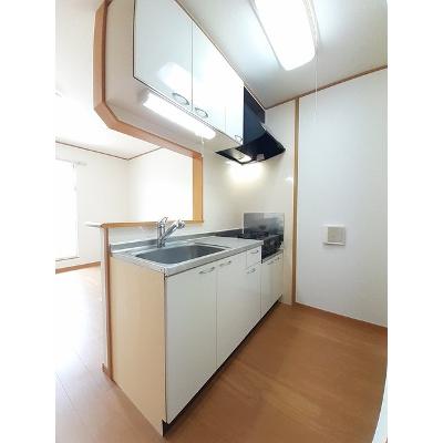ブルートレイン篠原　Ａ 203【管理NO：1-013952001-02030】 ★家具家電は申し込み後に搬入します 2026年08月下旬入居可能の物件写真3
