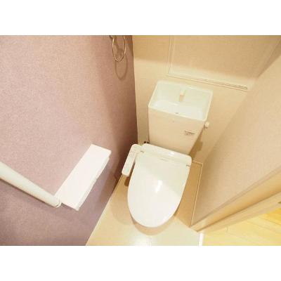 メゾンド・プチ・フルールⅦ 203【管理NO：1-024429501-02030】 ★家具家電は申し込み後に搬入します★の物件写真5