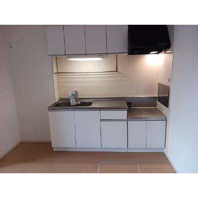 エレガンソ－レⅢ 102【管理NO：1-017661001-01020】 ★家具家電は申し込み後に搬入します★の物件写真3