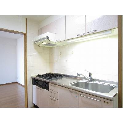 リバーシャトー 302【管理NO：1-010047701-03020】 ★家具家電は申し込み後に搬入します★の物件写真3