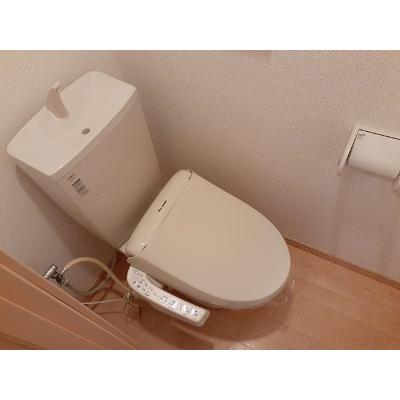 トーク鷹の羽Ⅲ 104【管理NO：1-019336901-01040】 ★家具家電は申し込み後に搬入します 2026年08月中旬入居可能の物件写真5