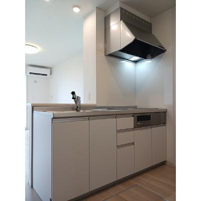 エルフォルク・スカイⅡ 103【管理NO：1-028012601-01030】 ★家具家電は申し込み後に搬入します★の物件写真3