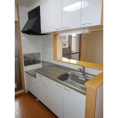 ニュー平地 102【管理NO：1-014972401-01020】 ★家具家電は申し込み後に搬入します★の物件写真3