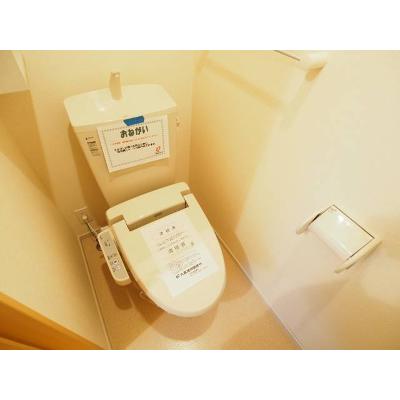 ＧＲＡＣＥ　ＣＯＵＲＴ 206【管理NO：1-018595001-02050】 ★家具家電は申し込み後に搬入します★の物件写真5