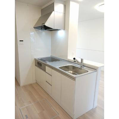 アルタイル８６７ 101【管理NO：1-027933601-01010】 ★家具家電は申し込み後に搬入します★の物件写真3