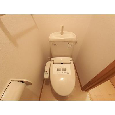 サンセール 203【管理NO：1-014705001-02030】 ★家具家電は申し込み後に搬入します 2026年08月下旬入居可能の物件写真5