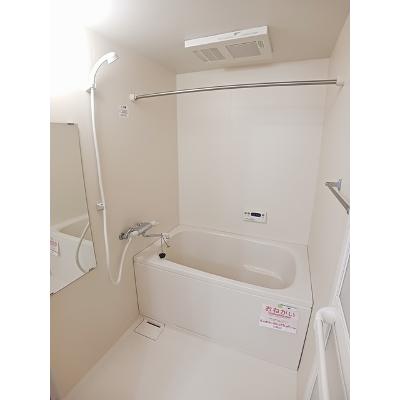 サン　ビオラ 303【管理NO：1-014000201-03030】 ★家具家電は申し込み後に搬入します 2026年08月下旬入居可能の物件写真4