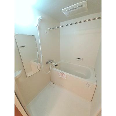 サン　ビオラ 301【管理NO：1-014000201-03010】 ★家具家電は申し込み後に搬入します 2026年08月下旬入居可能の物件写真4