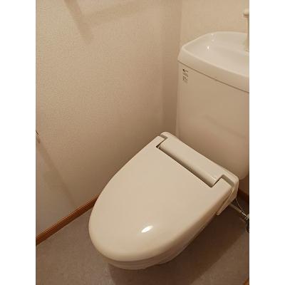 アムール 202【管理NO：1-012842401-02020】 ★家具家電は申し込み後に搬入します★ ★2026年08月中旬入居可能★の物件写真5