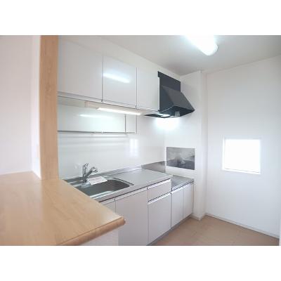 サニーセレノ　Ｅ 202【管理NO：1-018511701-02020】 ★家具家電は申し込み後に搬入します★の物件写真3