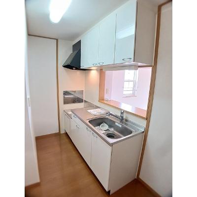 メゾン　コリーヌⅢ 205【管理NO：1-013439202-02040】 ★家具家電は申し込み後に搬入します★の物件写真3