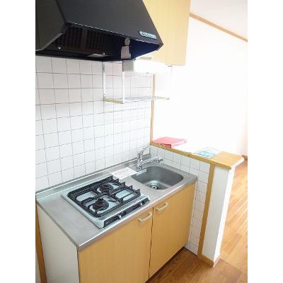 ウェルネス新橋 102【管理NO：1-012682801-01020】 ★家具家電は申し込み後に搬入します★の物件写真3