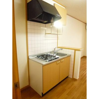 ウェルネス新橋 105【管理NO：1-012682801-01040】 ★家具家電は申し込み後に搬入します★の物件写真3