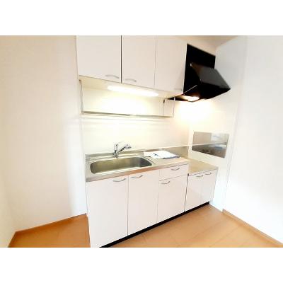 レアル・カーサ 203【管理NO：1-014611301-02030】 ★家具家電は申し込み後に搬入します★の物件写真3