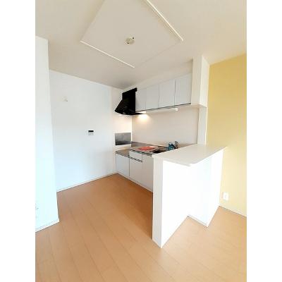 ライズピークＢ 203【管理NO：1-019103302-02030】 ★家具家電は申し込み後に搬入します★ ★2026年08月下旬入居可能★の物件写真3