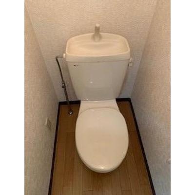 サニーフラッツＨＲ 303【管理NO：1-009392401-03030】 ★家具家電は申し込み後に搬入します★ ★2026年08月中旬入居可能★の物件写真5