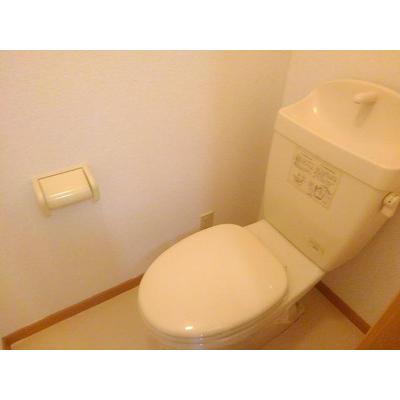 サニー　サンフラワー　Ｔ．Ｍ． 202【管理NO：1-011954601-02020】 ★家具家電は申し込み後に搬入します★の物件写真5