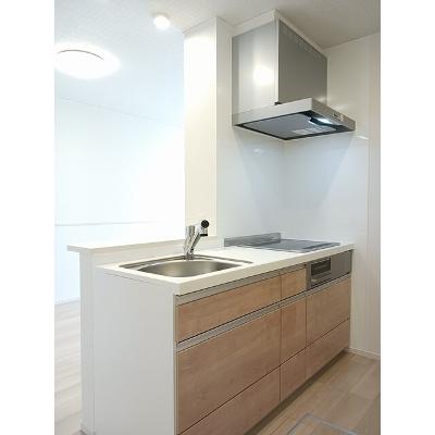 エルヴィナ 103【管理NO：1-027973001-01030】 ★家具家電は申し込み後に搬入します★ ★2026年09月中旬入居可能★の物件写真3