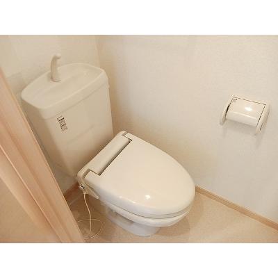 セレーノ・ダンディライオン 103【管理NO：1-016640501-01030】 ★家具家電は申し込み後に搬入します★ ★2026年12月中旬入居可能★の物件写真5