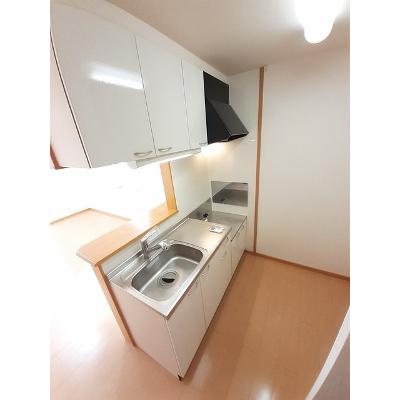 ノヴェール新幸Ⅱ 106【管理NO：1-015185301-01050】 ★家具家電は申し込み後に搬入します★の物件写真3
