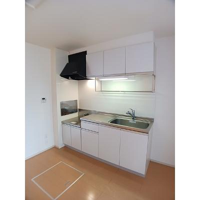 ラ　グリシーナ　Ⅱ 103【管理NO：1-017724202-01030】 ★家具家電は申し込み後に搬入します★の物件写真3