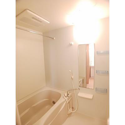 ラ　グリシーナ　Ⅱ 103【管理NO：1-017724202-01030】 ★家具家電は申し込み後に搬入します★の物件写真4