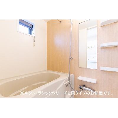 Ｌｏｔｕｓ　Ⅱ 203【管理NO：1-028530702-02030】 ★家具家電は申し込み後に搬入します★ ★2027年01月下旬入居可能★の物件写真4