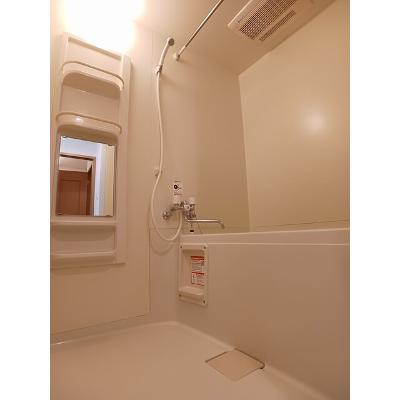 フォレストウィズダム 203【管理NO：1-014300901-02030】 ★家具家電は申し込み後に搬入します★ ★2026年10月下旬入居可能★の物件写真4