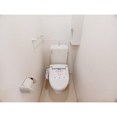メゾン・ド・フィオーレ 206【管理NO：1-018530601-02060】 ★家具家電は申し込み後に搬入します 2026年09月中旬入居可能の物件写真5