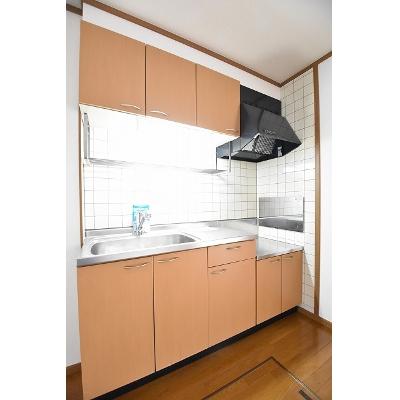 サンライズ 102【管理NO：1-010782701-01020】 ★家具家電は申し込み後に搬入しますの物件写真3