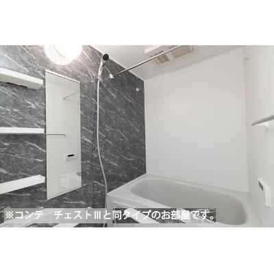 パインズ　グレイス－Ｖ 305【管理NO：1-028632401-03050】 ★家具家電は申し込み後に搬入します★ ★2027年03月上旬入居可能★の物件写真4