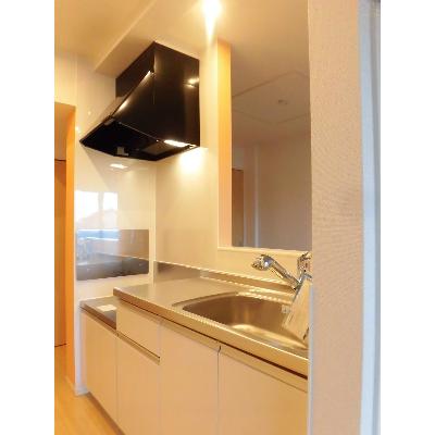 ユニゾンⅡ 203【管理NO：1-021500001-02030】 ★家具家電は申し込み後に搬入します 2026年08月下旬入居可能の物件写真3