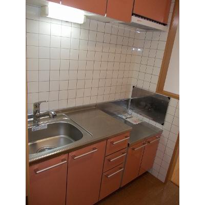 チェリーＳＫ 202【管理NO：1-012419001-02020】 ★家具家電は申し込み後に搬入します 2026年09月上旬入居可能の物件写真3