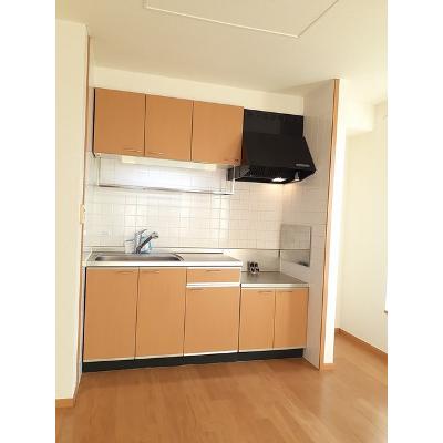 グランドールＢ 202【管理NO：1-012214202-02020】 ★家具家電は申し込み後に搬入します★の物件写真3