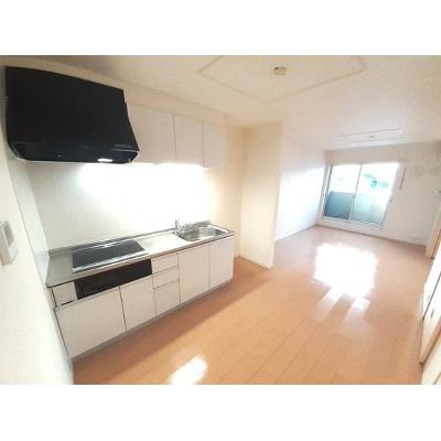 サンデリアーナⅡ　Ｂ 202【管理NO：1-018773802-02020】 ★家具家電は申し込み後に搬入します★の物件写真3