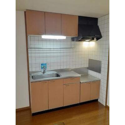 スワンＢ 103【管理NO：1-010551302-01030】 ★家具家電は申し込み後に搬入しますの物件写真3