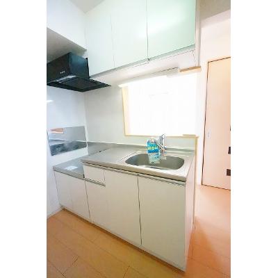 ルー　レジデンス 206【管理NO：1-019008701-02050】 ★家具家電は申し込み後に搬入します 2026年08月下旬入居可能の物件写真3