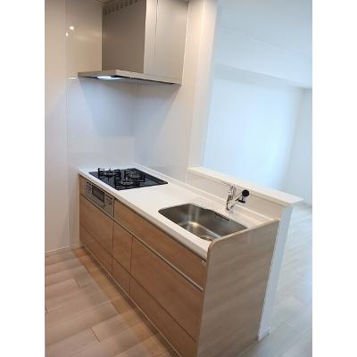 Ｗｅｓｔ　Ｒｉｖｅｒ　Ⅱ 201【管理NO：1-027366801-02010】 ★家具家電は申し込み後に搬入します★の物件写真3