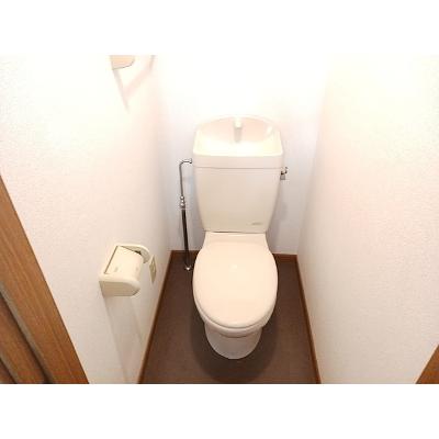 プルメリアＤ 103【管理NO：1-010631601-01030】 ★家具家電は申し込み後に搬入します★の物件写真5