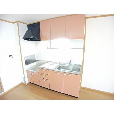 Ｎｅｏ　Ｃａｐｅ 203【管理NO：1-012732001-02030】 ★家具家電は申し込み後に搬入します 2026年08月上旬入居可能の物件写真3