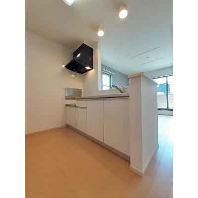 パレイシア 205【管理NO：1-019119201-02040】 ★家具家電は申し込み後に搬入します 2026年09月中旬入居可能の物件写真3