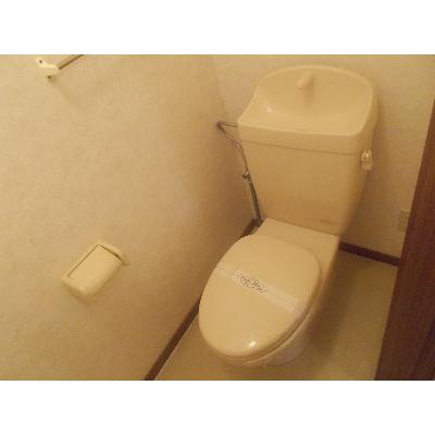 アウローラ 203【管理NO：1-011561401-02030】 ★家具家電は申し込み後に搬入します 2026年08月下旬入居可能の物件写真5