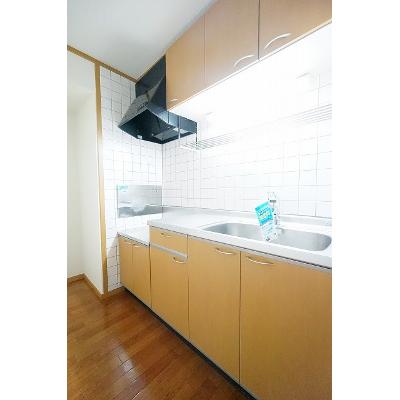 フォンテーヌ 202【管理NO：1-012049401-02020】 ★家具家電は申し込み後に搬入します★の物件写真3
