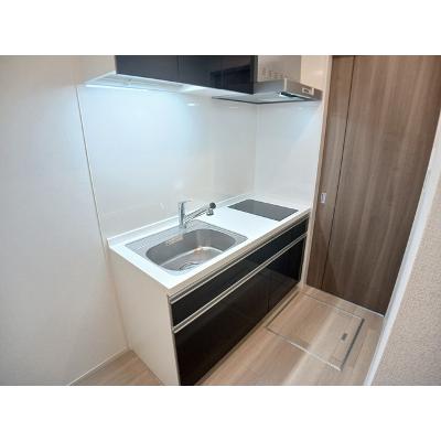 リズ・フォーチュン　Ⅱ 105【管理NO：1-028054602-01050】 ★家具家電は申し込み後に搬入します★の物件写真3
