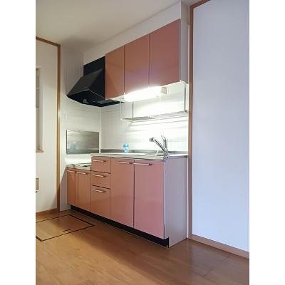 サニー　コートⅡ 101【管理NO：1-012531702-01010】 ★家具家電は申し込み後に搬入します★ ★2026年10月下旬入居可能★の物件写真3