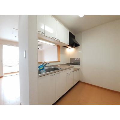 インフィニティーＣ 203【管理NO：1-015457603-02030】 ★家具家電は申し込み後に搬入します★の物件写真3